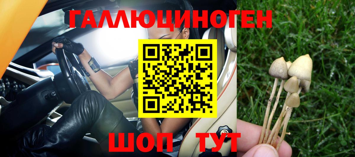 Севастополь  Псилоцибиновые грибы MAGIC MUSHROOMS  Вход с VPN 